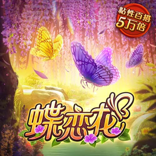 九州体育入口